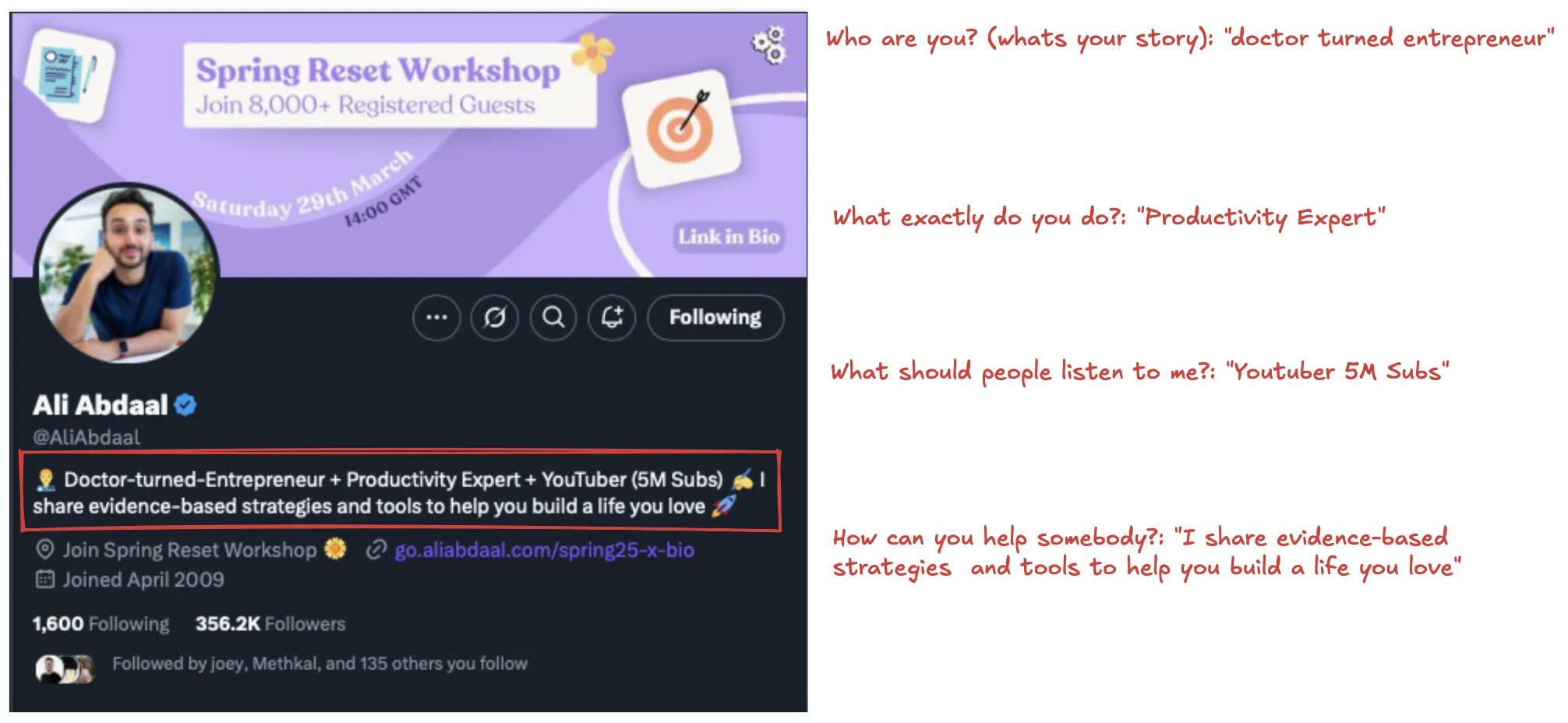 Optimized X profile bio example